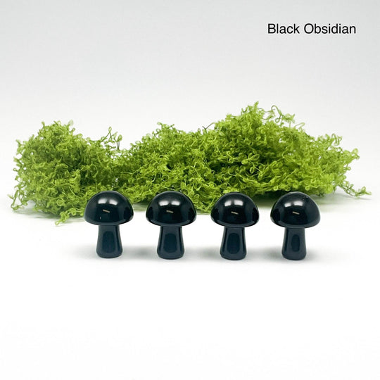 Gemstone Mushroom-Rocks and Gems Canada