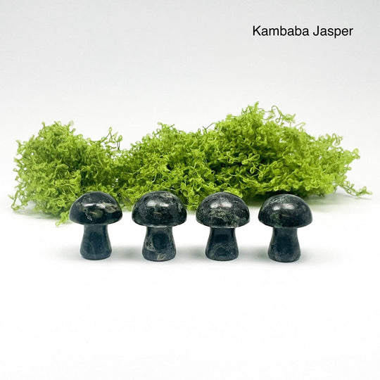 Gemstone Mushroom-Rocks and Gems Canada