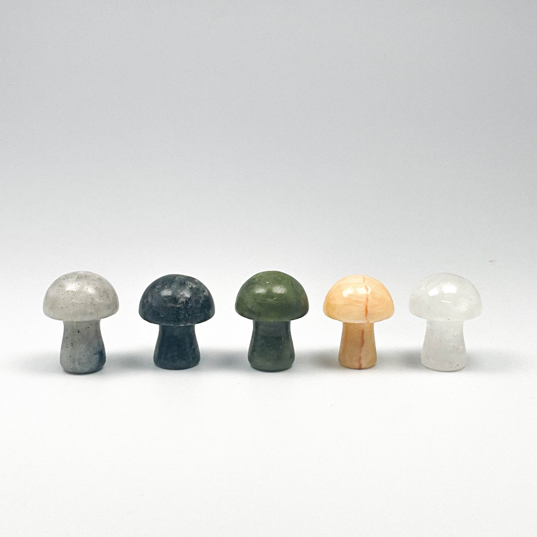 Gemstone Mushroom-Rocks and Gems Canada