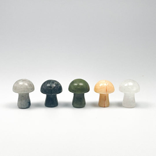 Gemstone Mushroom-Rocks and Gems Canada