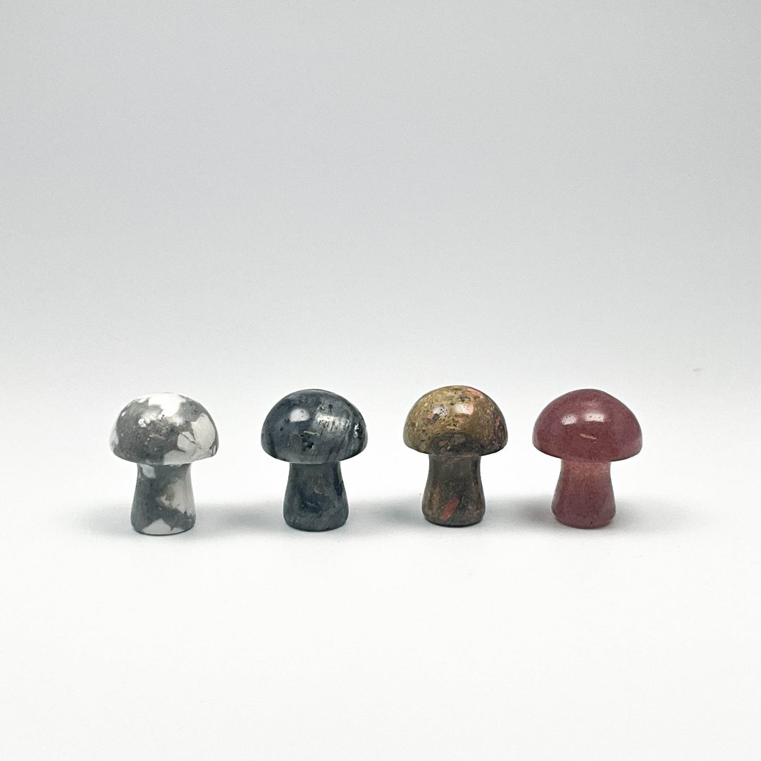 Gemstone Mushroom-Rocks and Gems Canada