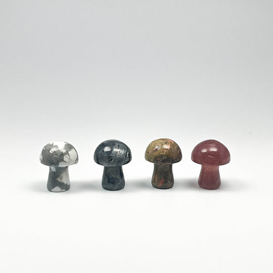 Gemstone Mushroom-Rocks and Gems Canada
