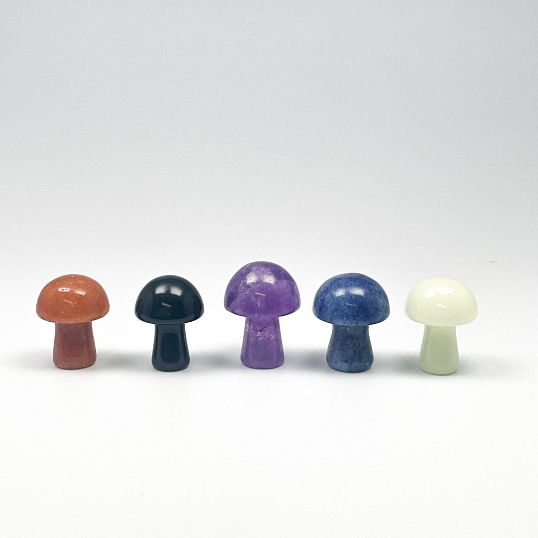 Gemstone Mushroom-Rocks and Gems Canada