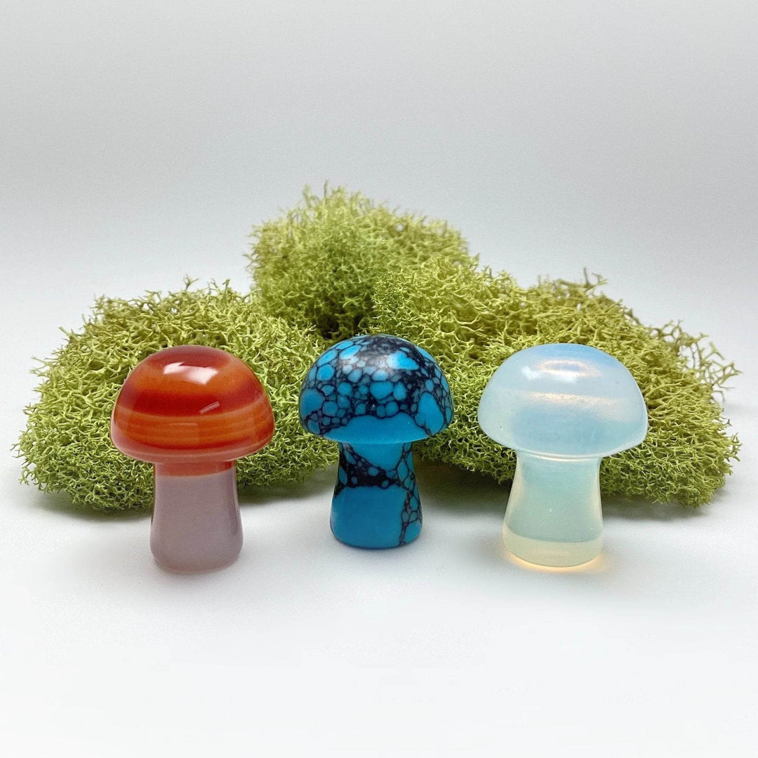 Gemstone Mushroom-Rocks and Gems Canada