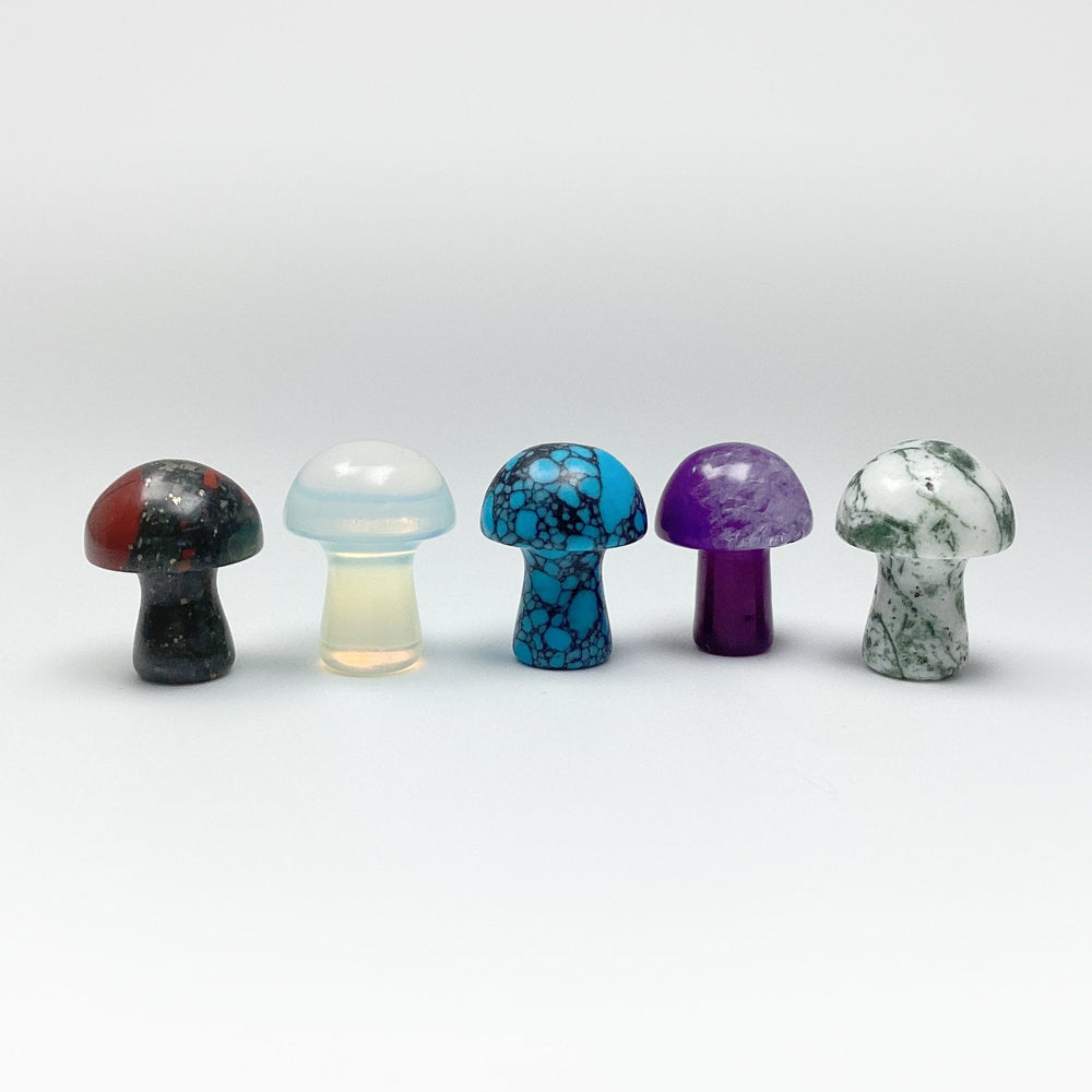 Gemstone Mushroom - Rocks and Gems Canada