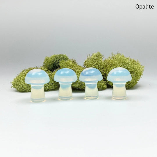 Gemstone Mushroom - Rocks and Gems Canada