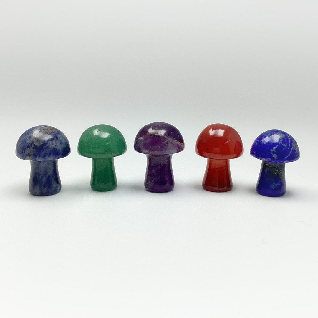 Gemstone Mushroom - Rocks and Gems Canada