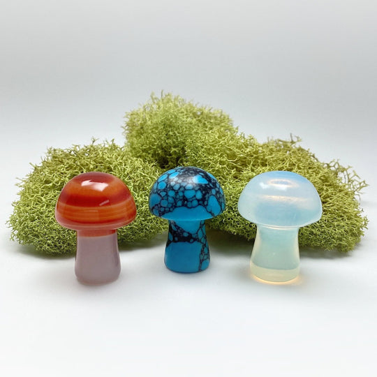 Gemstone Mushroom - Rocks and Gems Canada