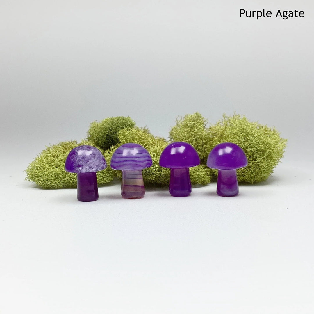 Gemstone Mushroom - Rocks and Gems Canada
