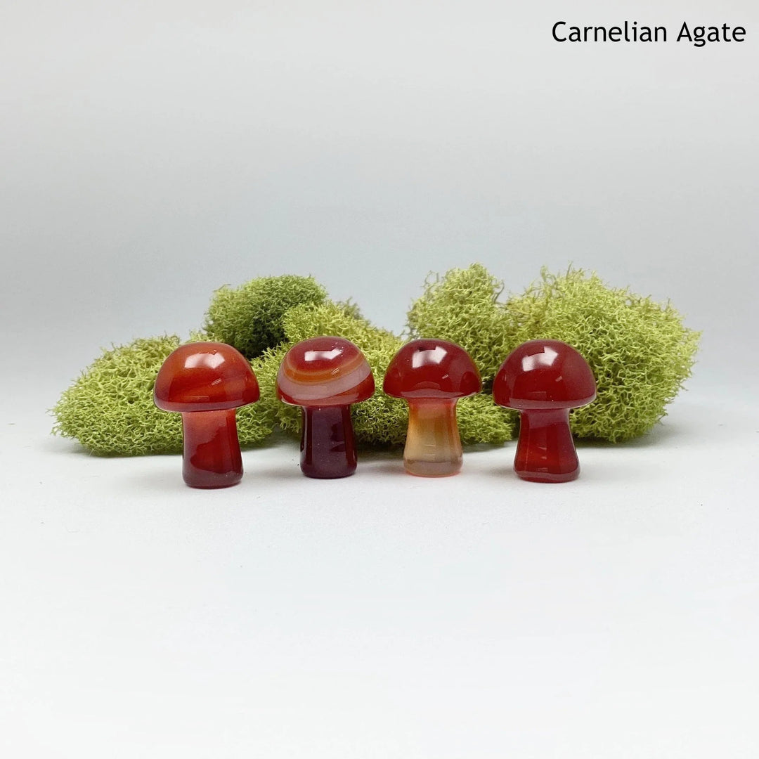 Gemstone Mushroom - Rocks and Gems Canada