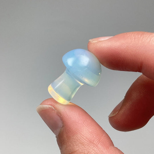 Gemstone Mushroom - Rocks and Gems Canada