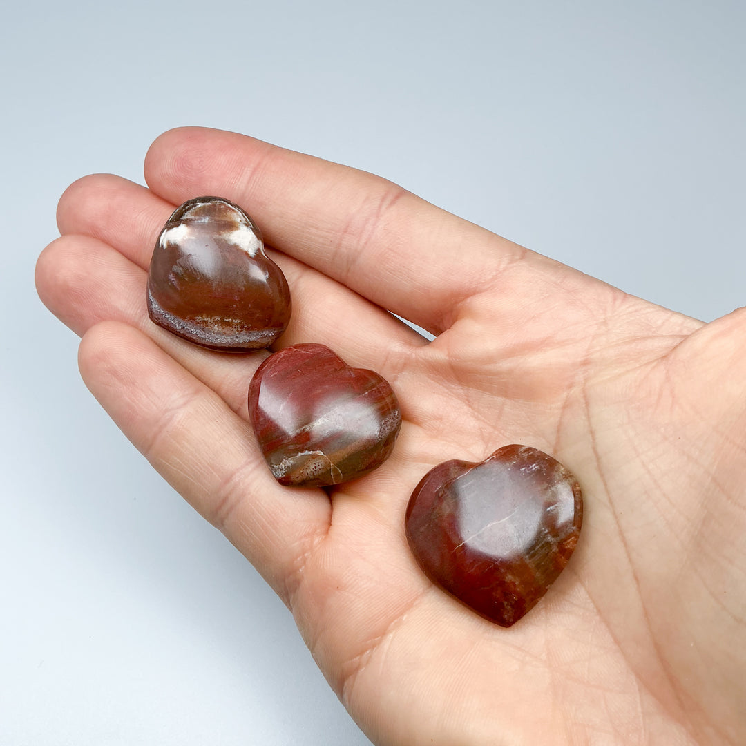 Petrified Wood Heart