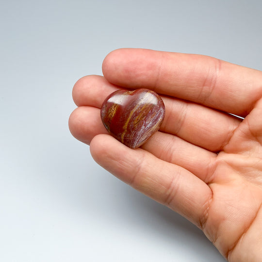 Petrified Wood Heart