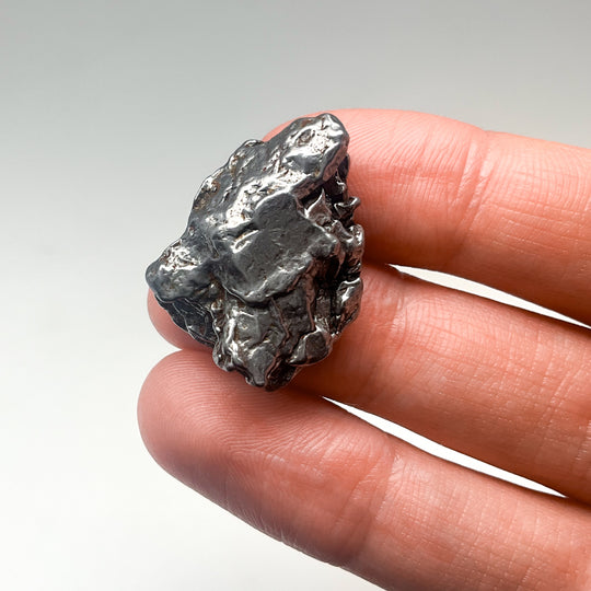 Meteorite Gift Bundle