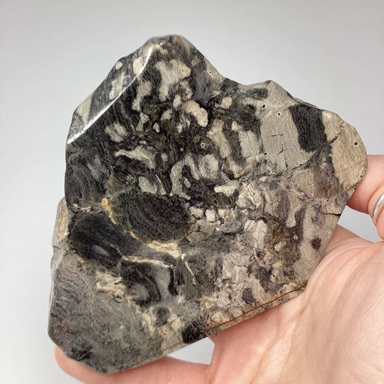 Silver Leaf Jasper Slice - Rocks and Gems Canada