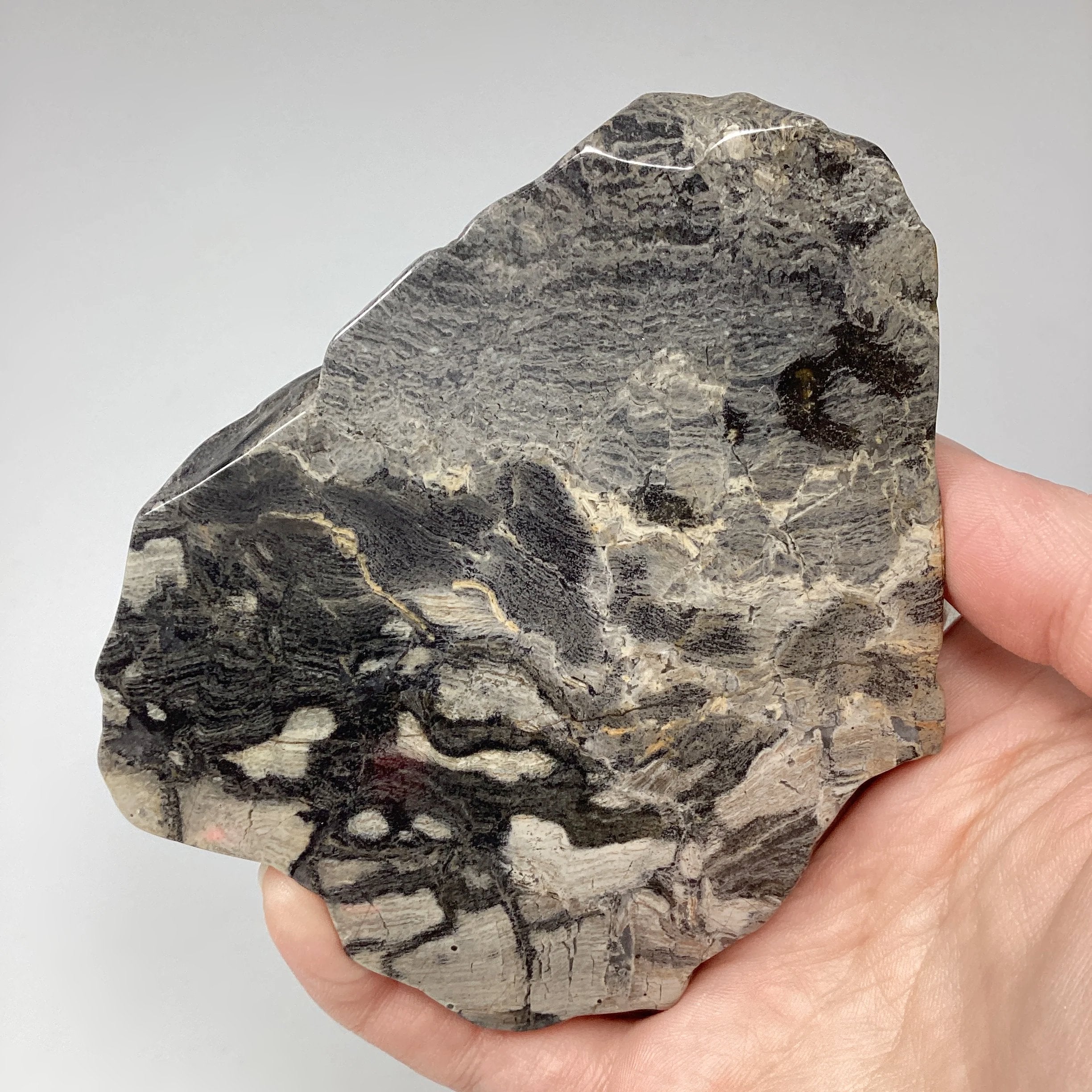 Silver Leaf Jasper Slice - Rocks and Gems Canada