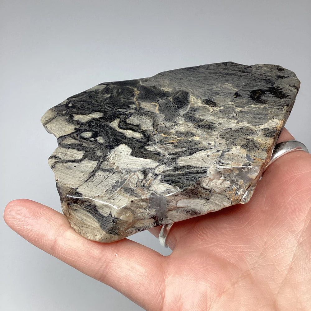 Silver Leaf Jasper Slice - Rocks and Gems Canada