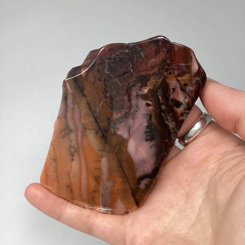 Bamboo Leaf Jasper Slice - Rocks and Gems Canada