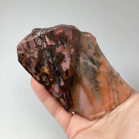Bamboo Leaf Jasper Slice - Rocks and Gems Canada