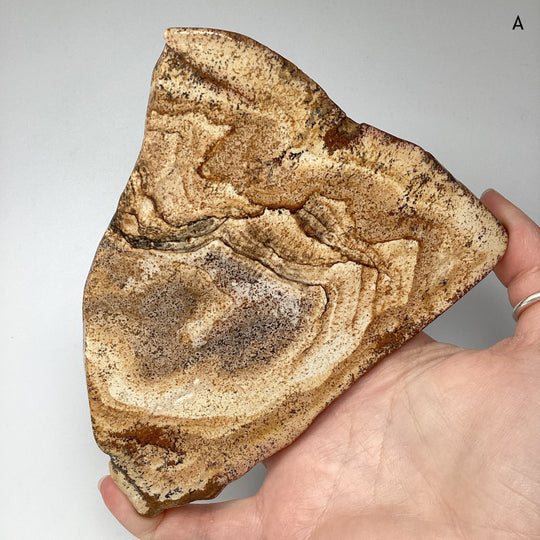 Picture Jasper Slice - Rocks and Gems Canada
