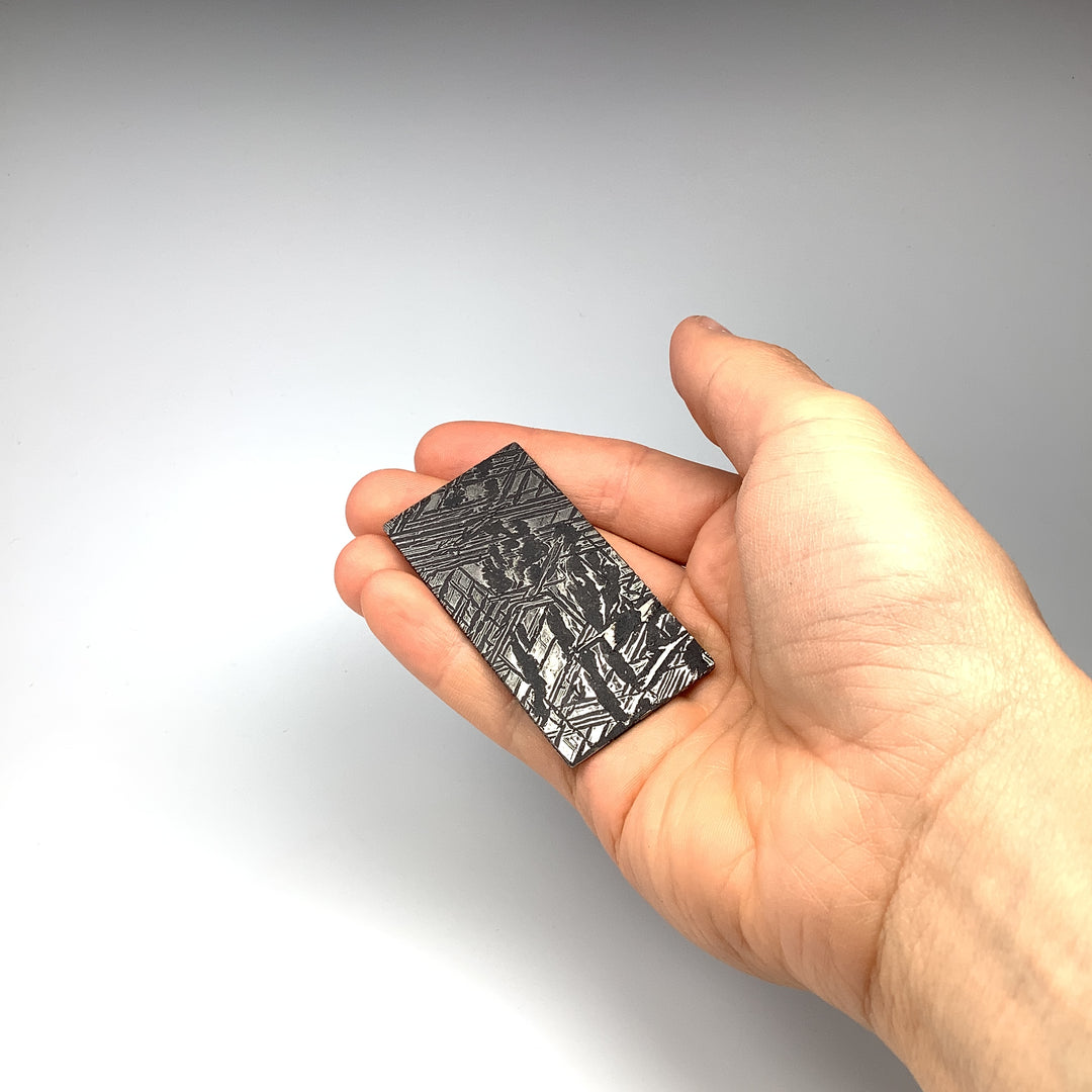Aletai Meteorite Slice