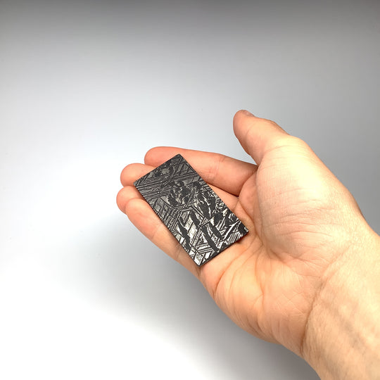 Aletai Meteorite Slice