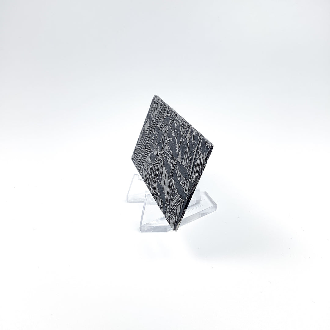 Aletai Meteorite Slice