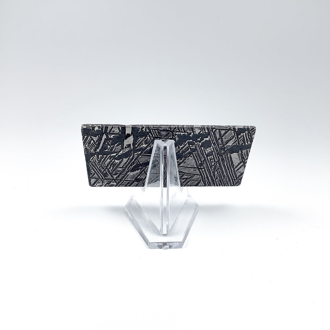 Aletai Meteorite Slice