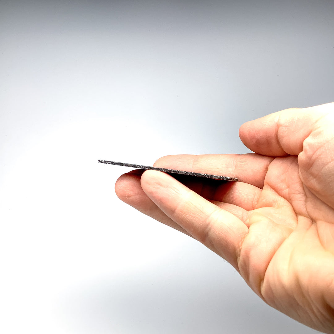 Aletai Meteorite Slice