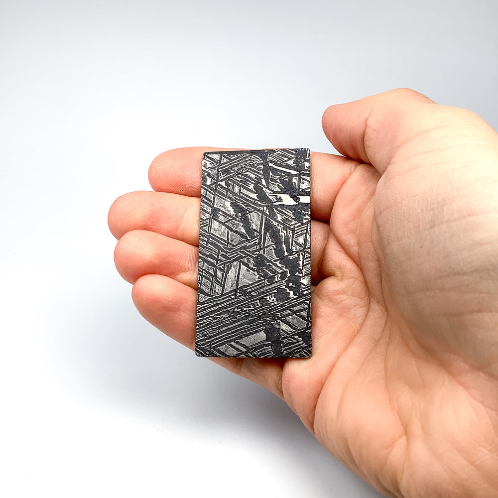 Aletai Meteorite Slice