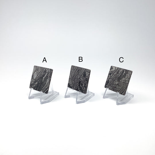 Aletai Meteorite Slice