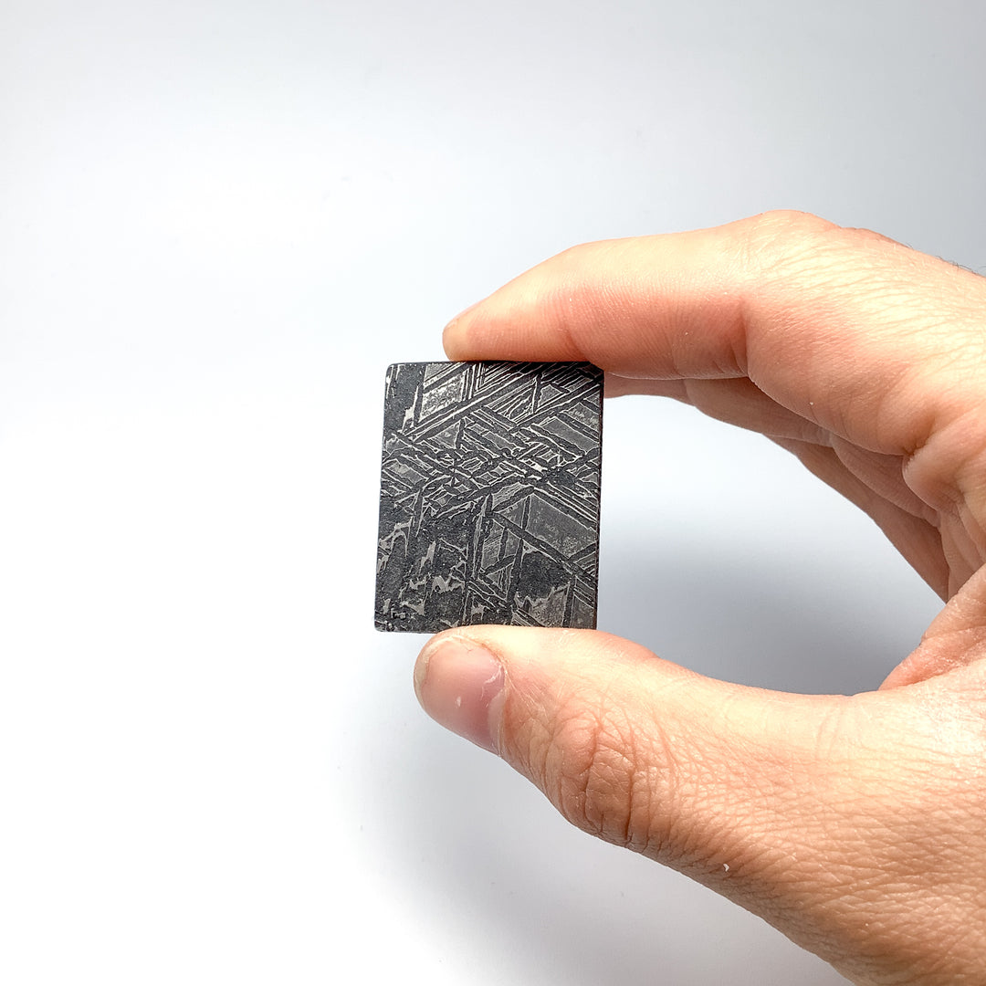 Aletai Meteorite Slice