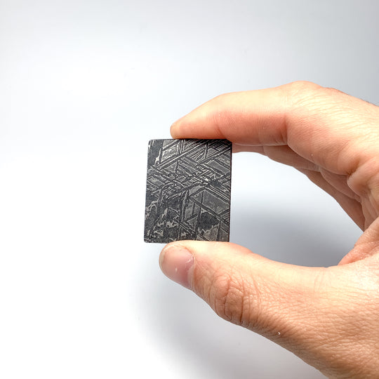 Aletai Meteorite Slice