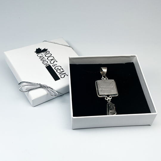 Muonionalusta and Campo Del Cielo Meteorite Pendant