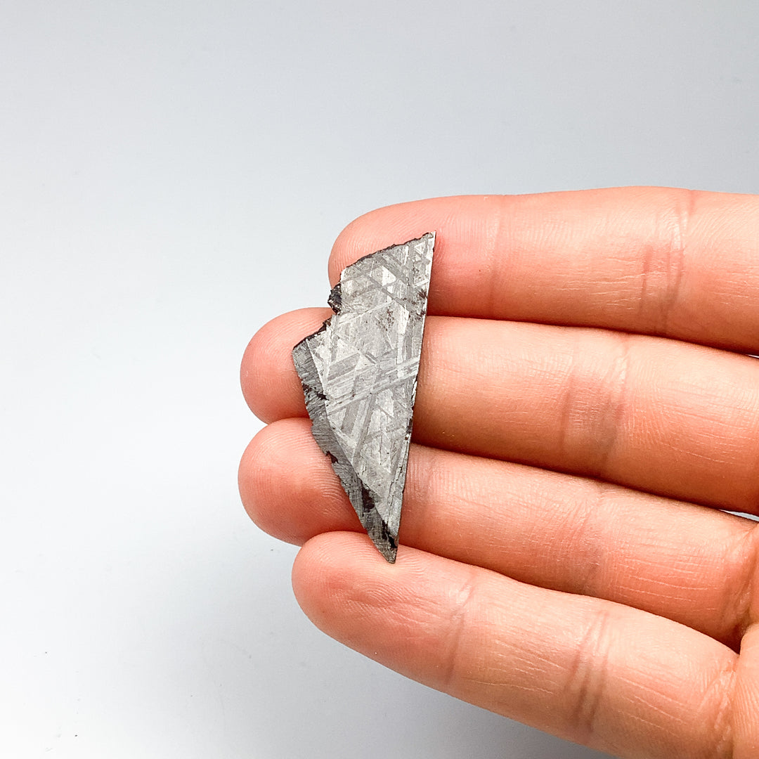 Muonionalusta Meteorite Slice - Rocks and Gems Canada