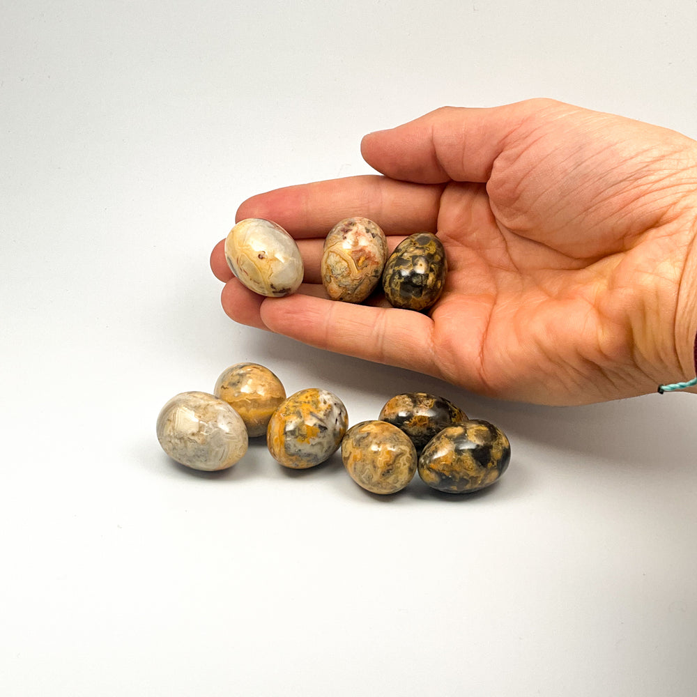 Crazy Lace Agate Mini Egg - Rocks and Gems Canada