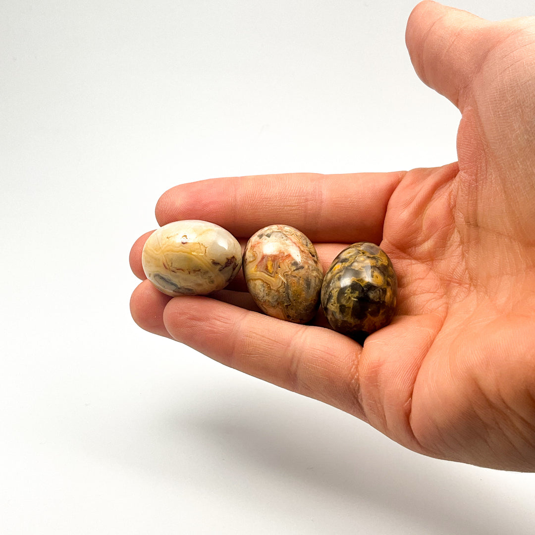 Crazy Lace Agate Mini Egg - Rocks and Gems Canada