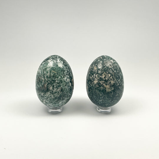 Tree Agate Egg - Rocks and Gems Canada