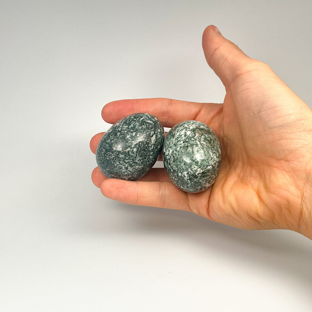 Tree Agate Egg - Rocks and Gems Canada
