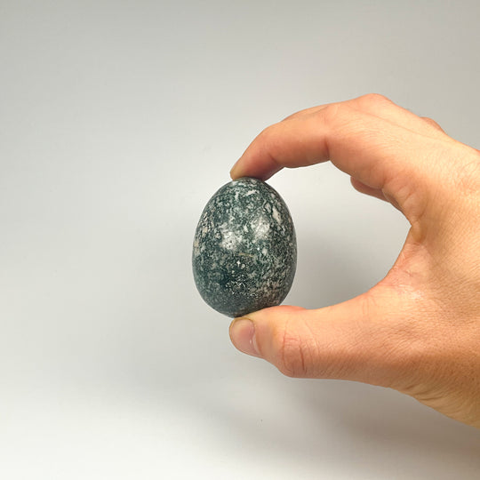 Tree Agate Egg - Rocks and Gems Canada