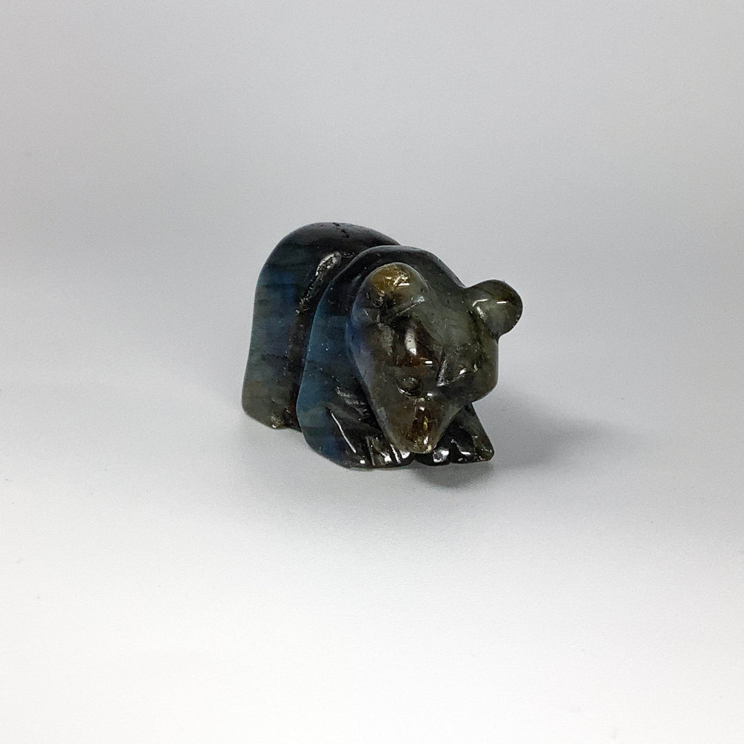 Labradorite Bear Carving - Rocks and Gems Canada