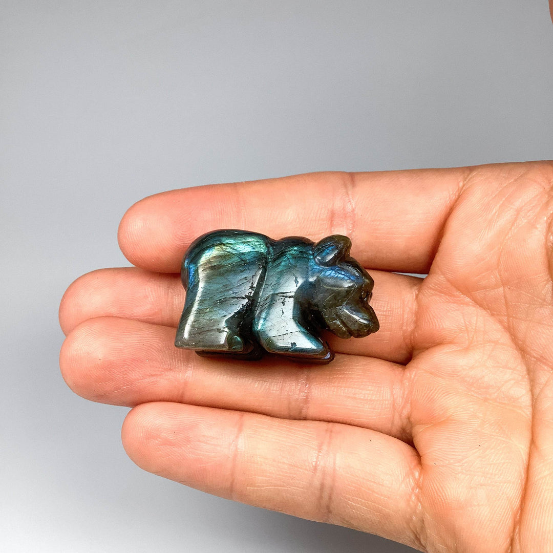 Labradorite Bear Carving - Rocks and Gems Canada
