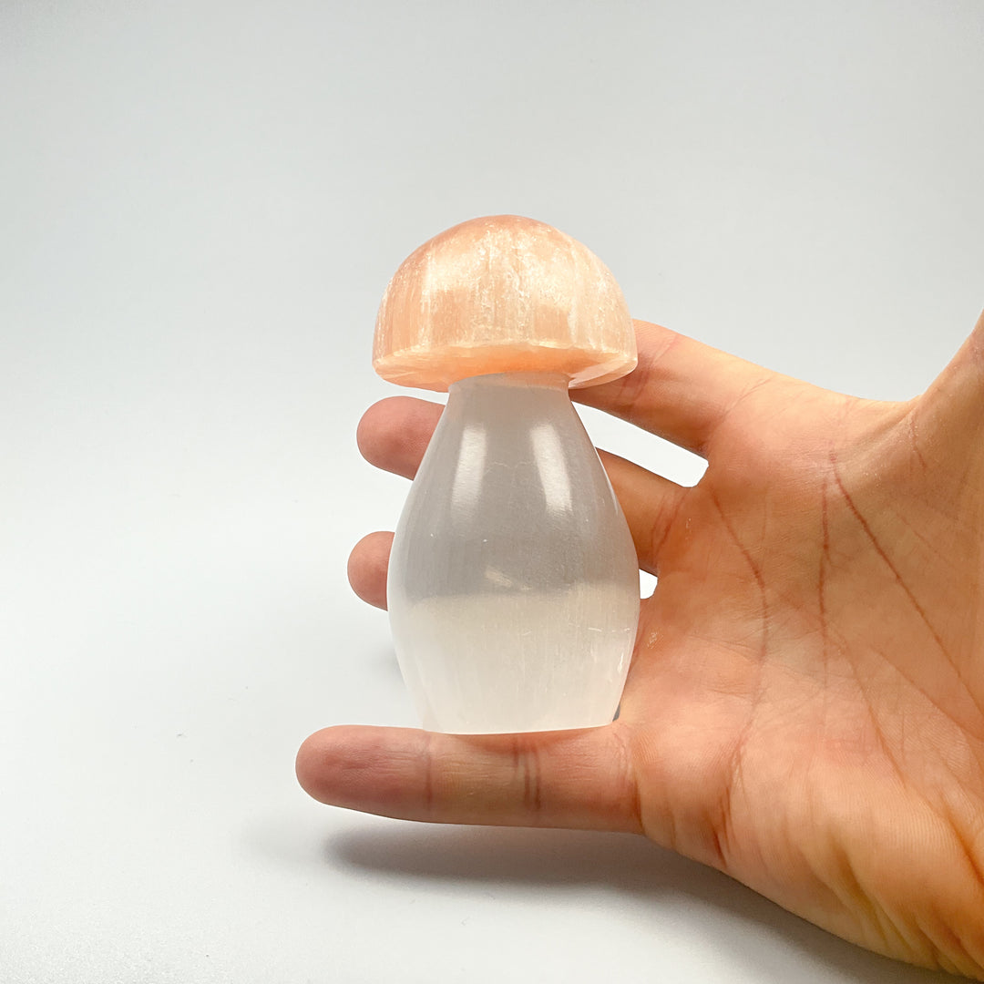 Selenite Mushroom - Rocks and Gems Canada