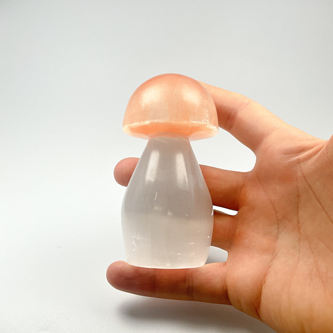 Selenite Mushroom - Rocks and Gems Canada