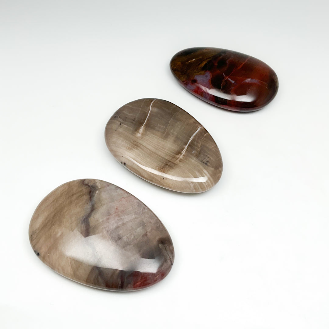 Worry Stone - Petrified Wood