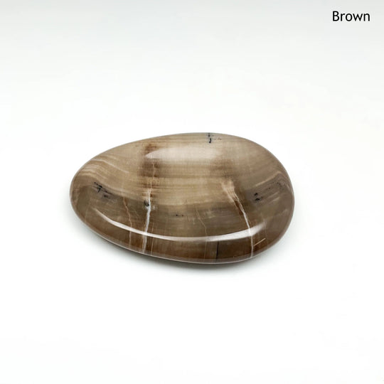 Worry Stone - Petrified Wood