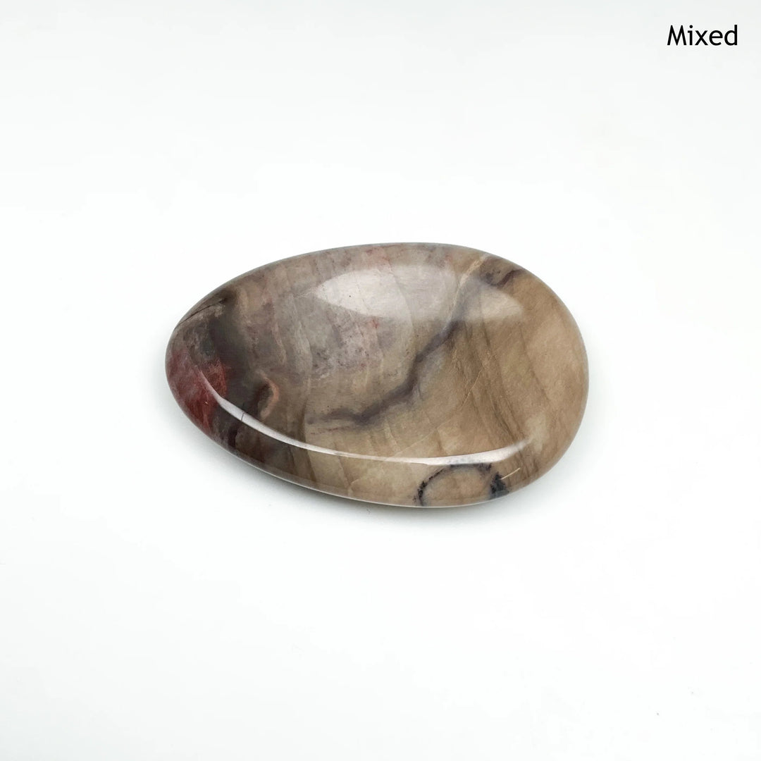 Worry Stone - Petrified Wood