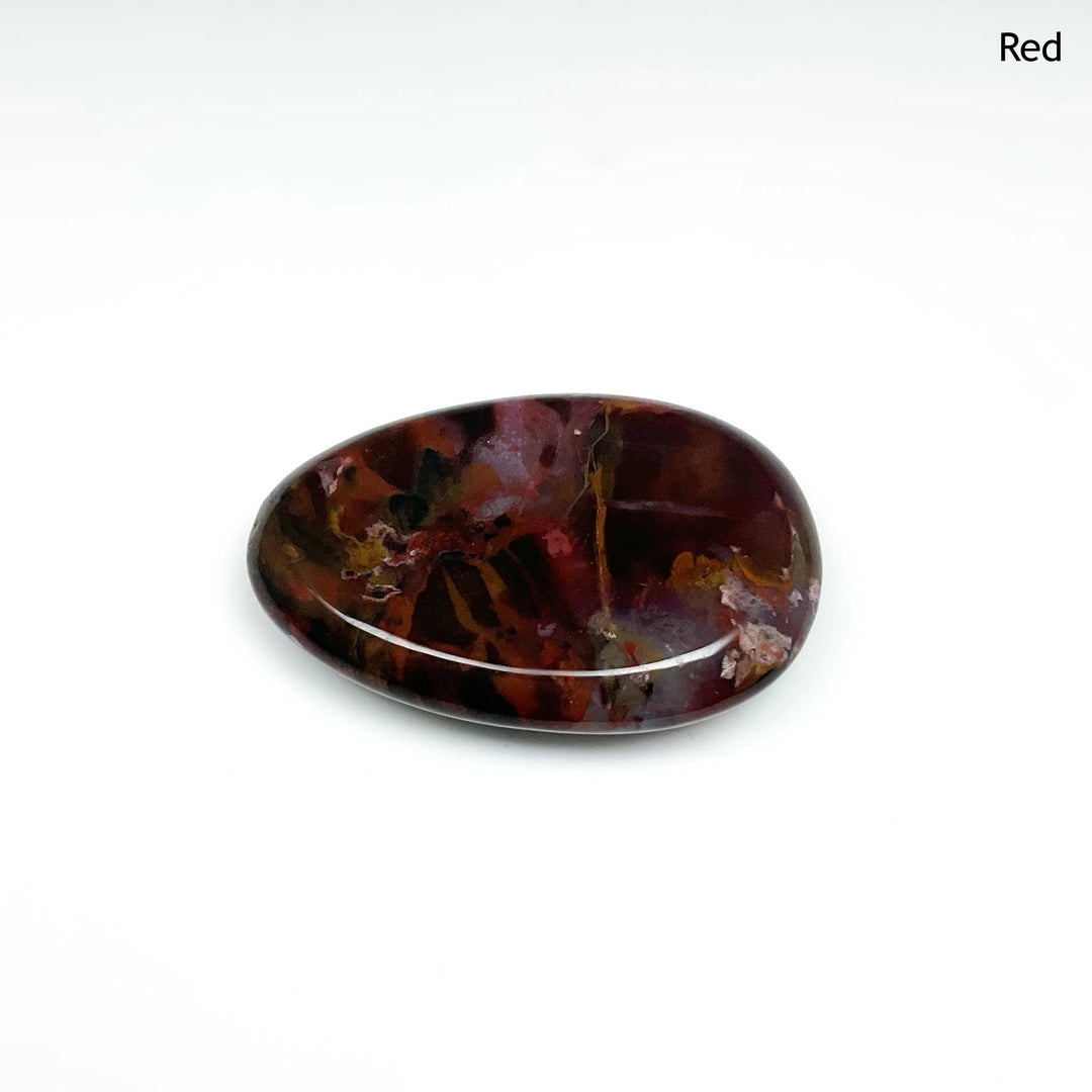 Worry Stone - Petrified Wood