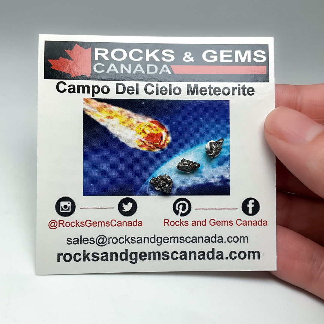 Mini Meteorite Collection Kit - Campo Del Cielo
