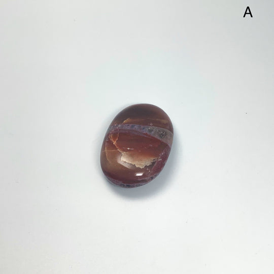Petrified Wood Tumble Small - Rocks and Gems Canada
